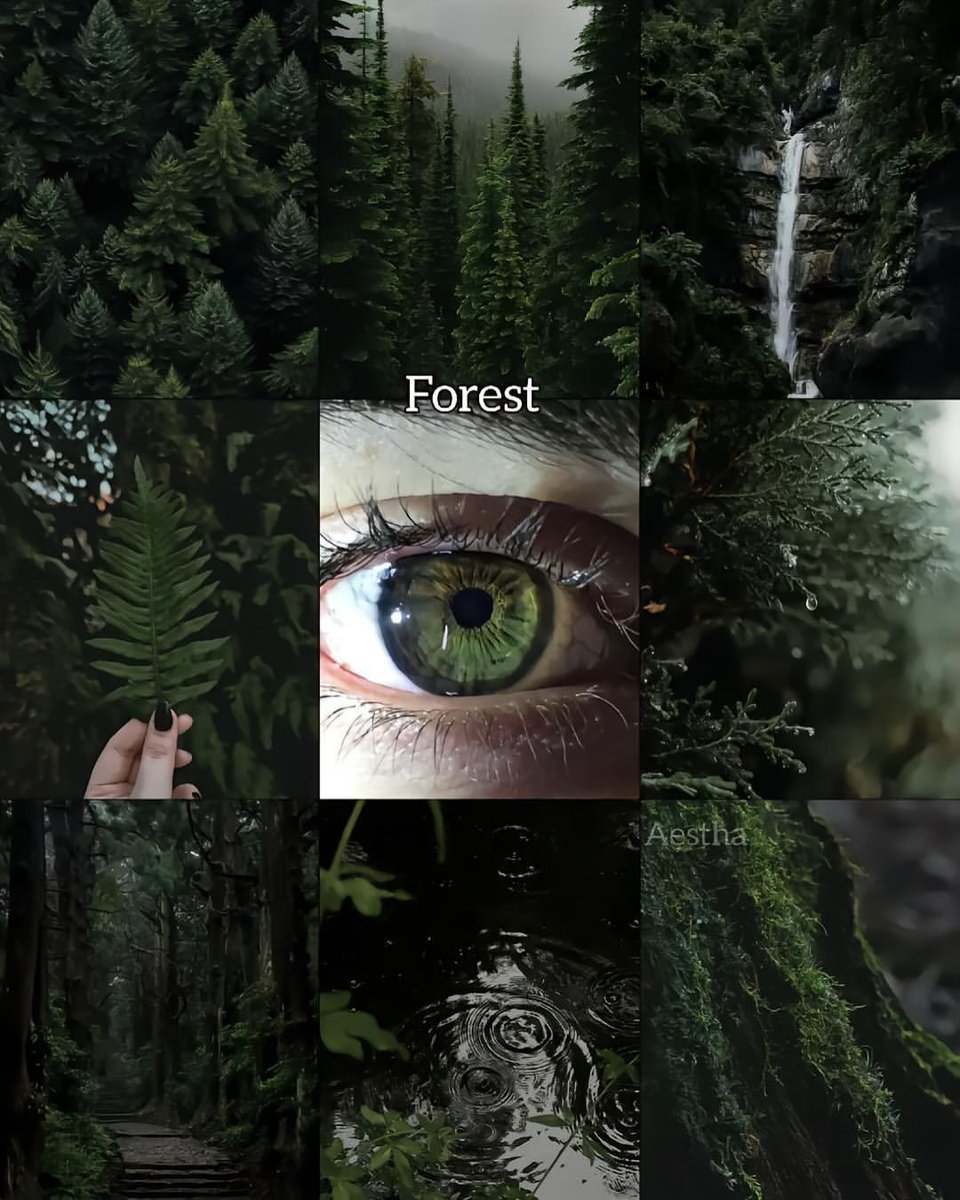 aestheticwabi's tweet image. Which is your favorite?