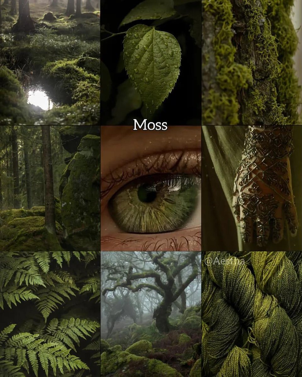 aestheticwabi's tweet image. Which is your favorite?