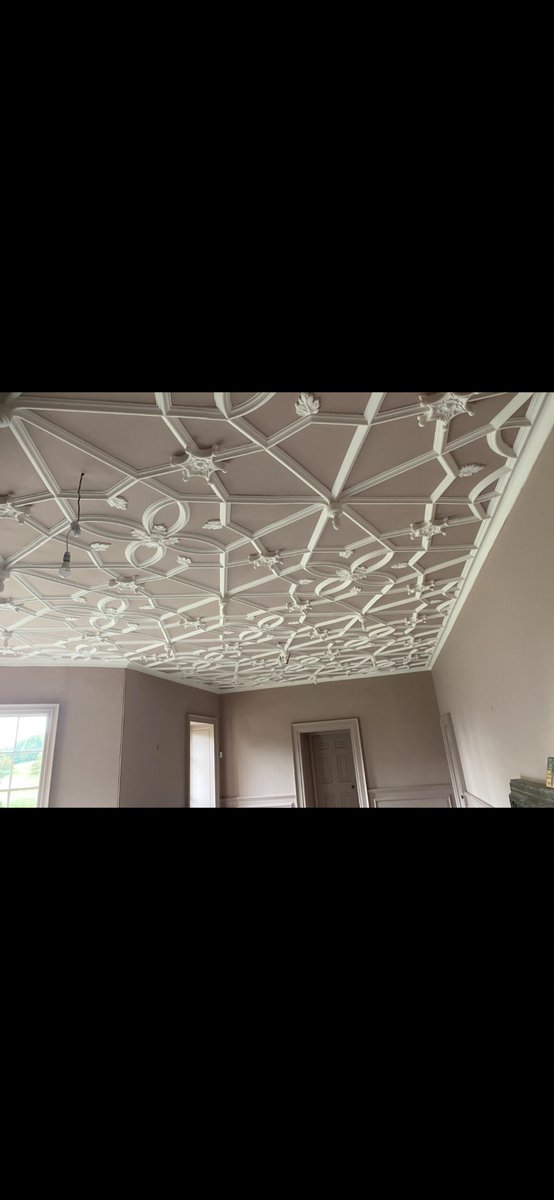 Plasteringdesi2's tweet photo. Plastering Designs of Sheffield
Specialists in ornate &amp; heritage plaster restoration

#HeritageRestoration #OrnateCeiling #PlasterRestoration #PeriodProperty
#HistoricBuildings #CeilingRestoration #TraditionalCrafts #SkilledTrades https://t.co/XEVf8SNlQy