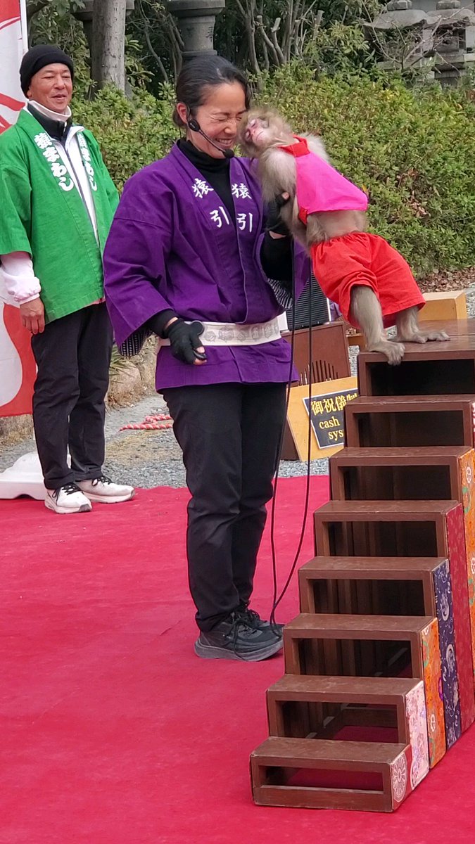 ichiban_os61908's tweet photo. 豊国神社での　楽しい猿まわしでした
真後ろに倒れるって凄い😃JUMPも良かった https://t.co/7c71Ldeze2