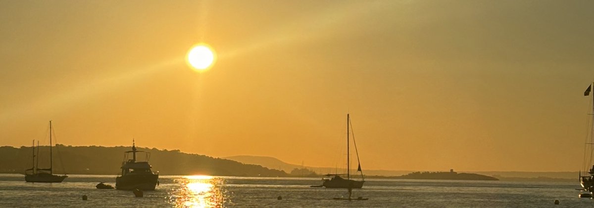 Shea Stickel tweet media