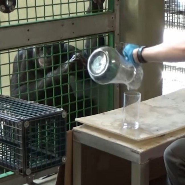 Principio de Incertidumbre tweet media