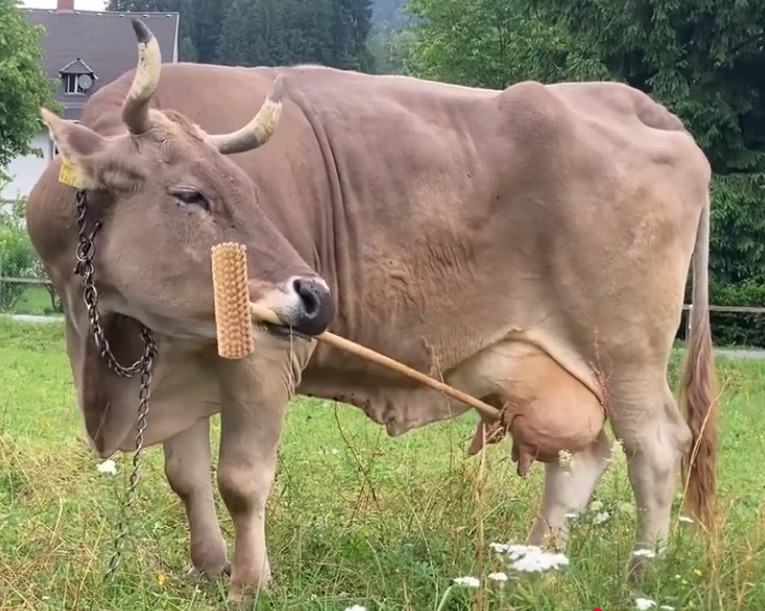 Principio de Incertidumbre tweet media