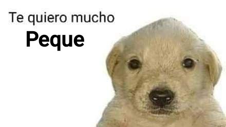 GSSCentella 🐢⚡ (@ginssegurasnch1) on Twitter photo 