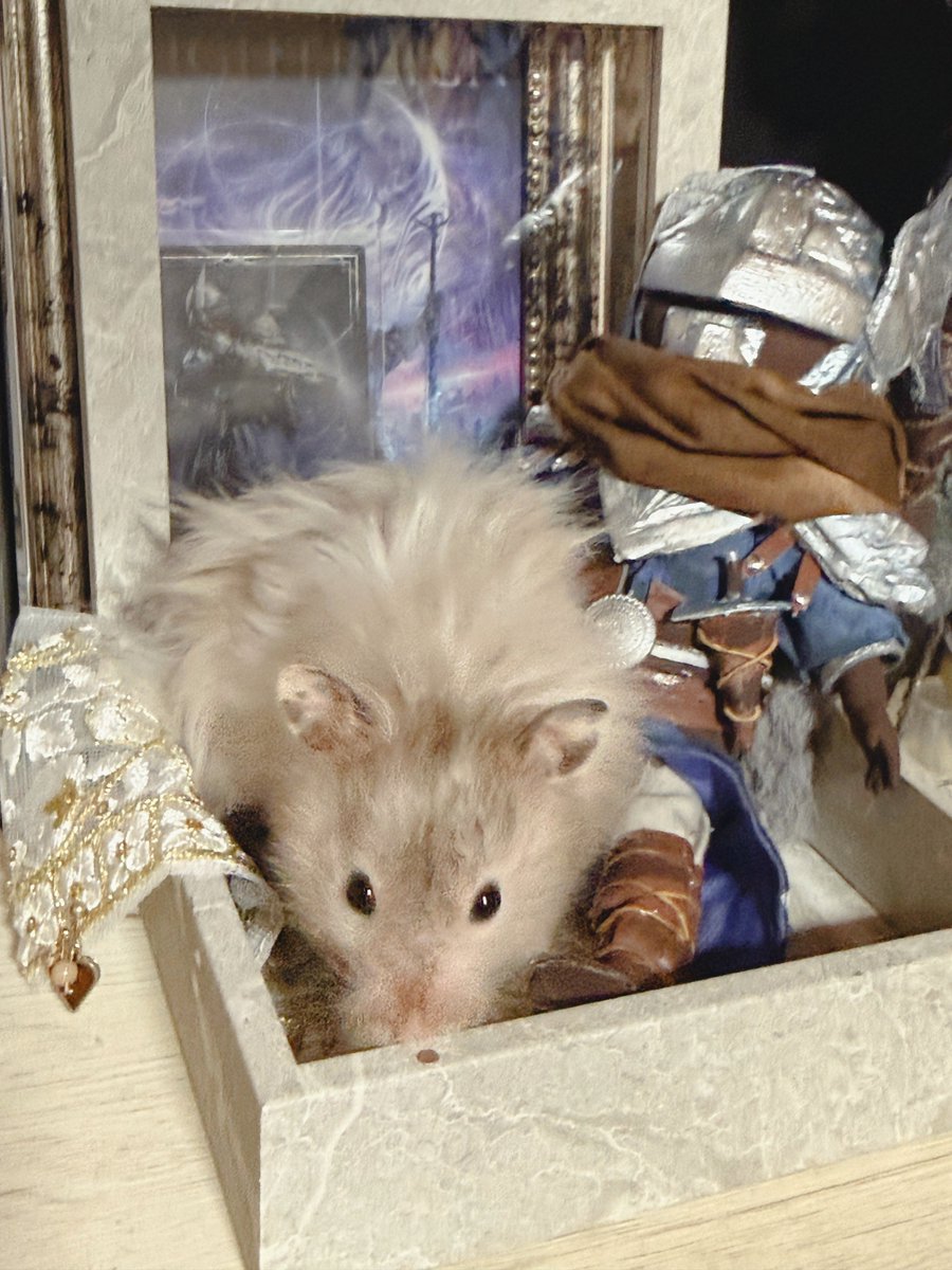 うぇんで 🫓🔥🔥🔥 tweet media