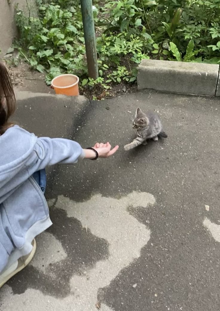 🅔🅨🅘🅝🅢🍦 tweet media