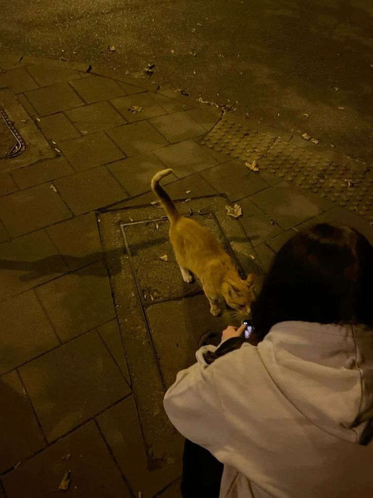 🅔🅨🅘🅝🅢🍦 tweet media