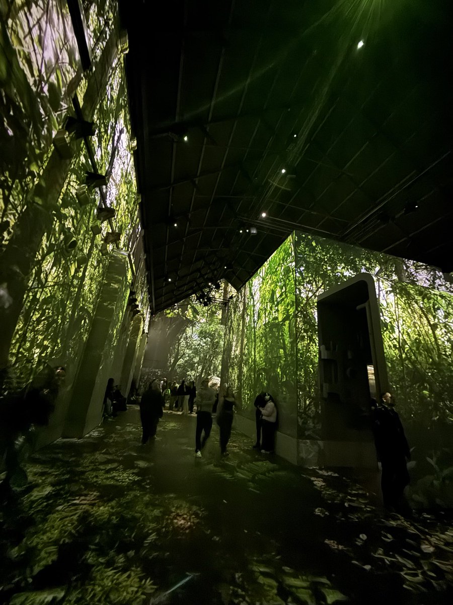 ⭐「エス」 tweet media