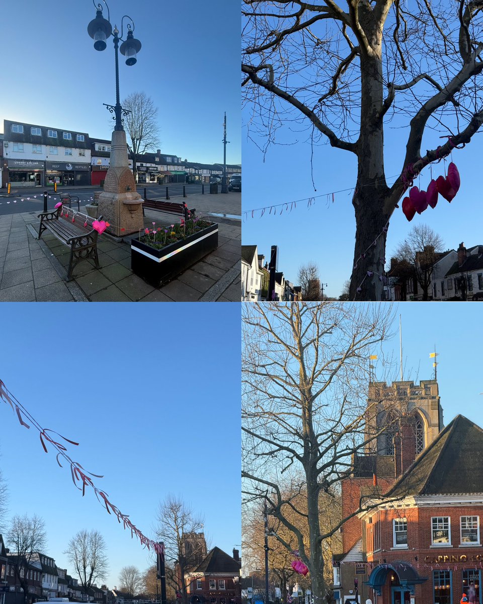 Holly Whitbread tweet media