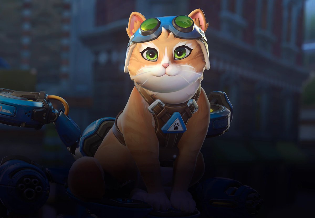 Overwatch Fan Caralho tweet media