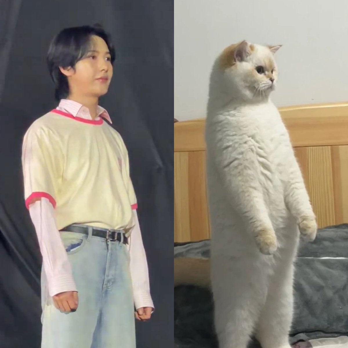 renmeow meow🧍🏻