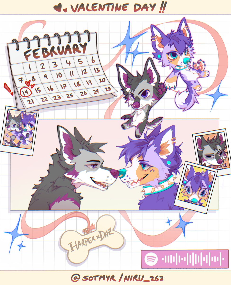 ✶ Harper/Dulce ✶ tweet media