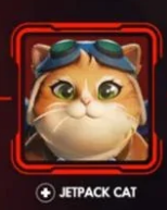 Overwatch Fan Caralho tweet media