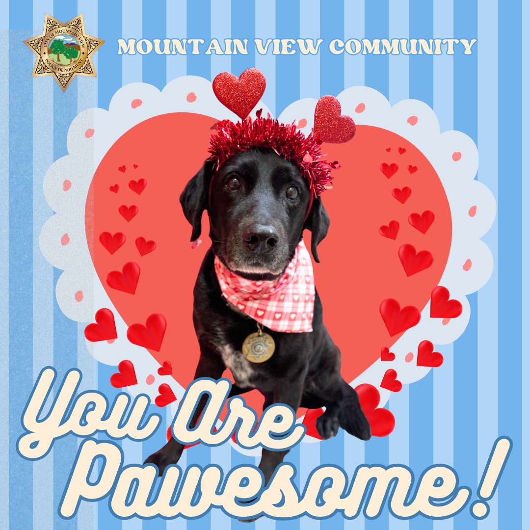 Mountain View Police tweet media