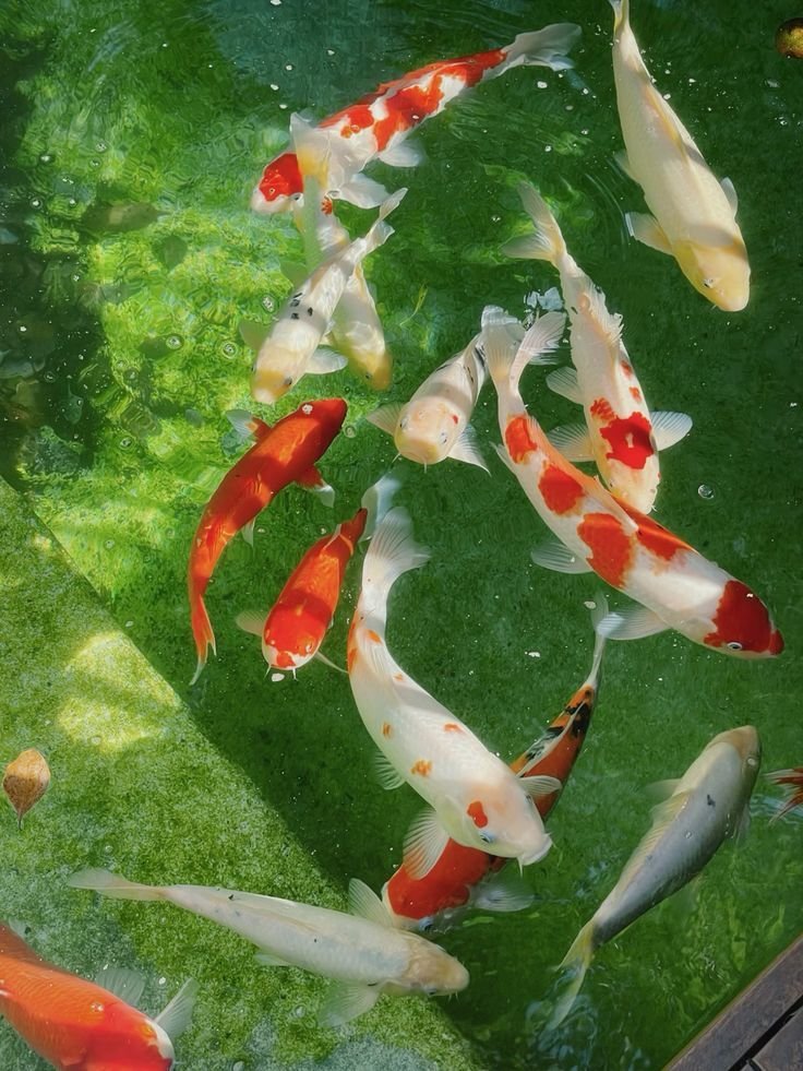 aesttics's tweet image. 