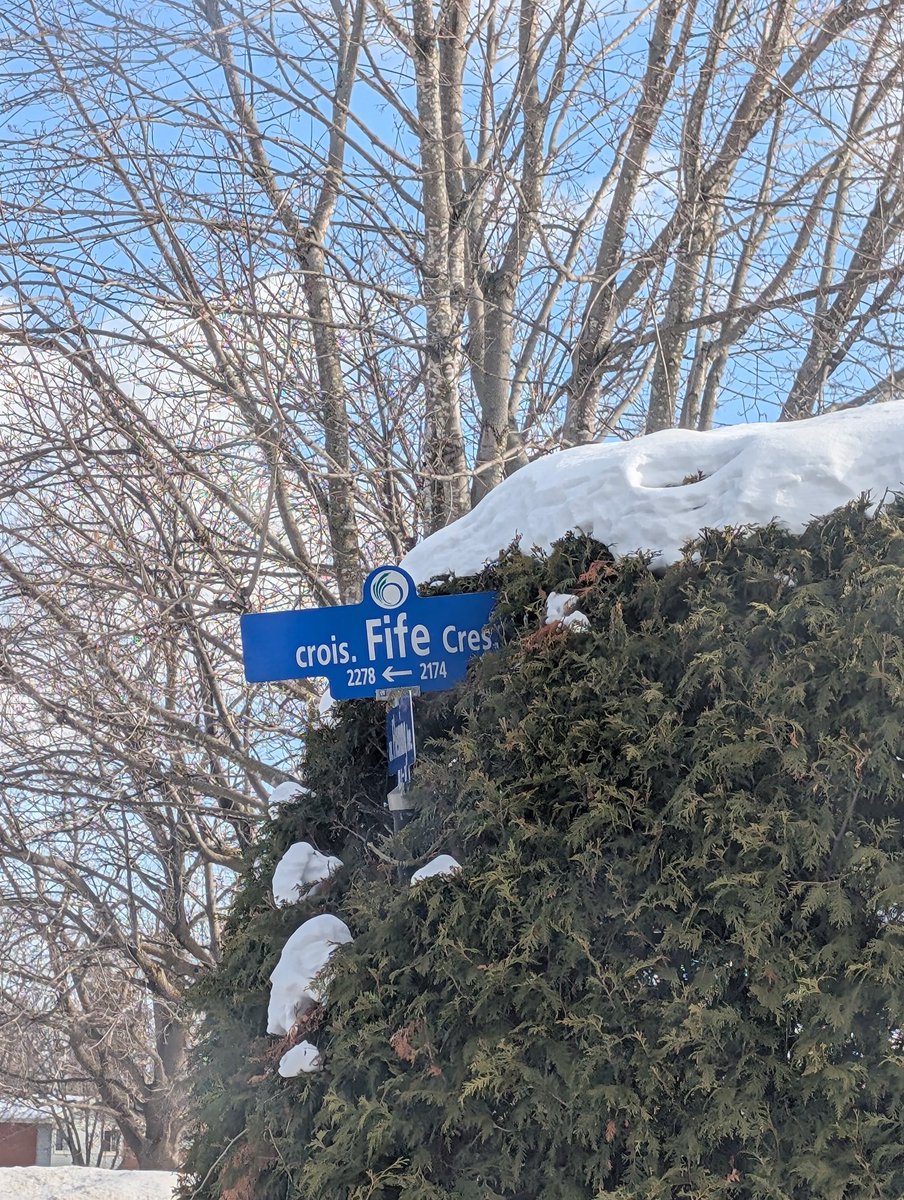 Happy Valentine's day. Live with love and enjoy love. Loving love.