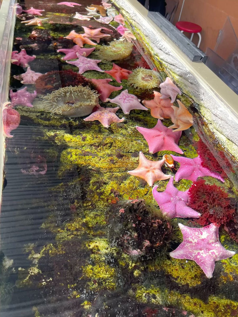 𝑓. (@momentsofence) on Twitter photo 