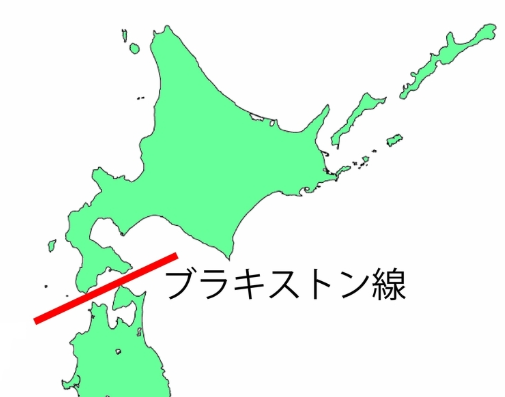 BotHakase's tweet photo. ブラキストン線【ぶらきすとんせん/Blakiston Line】哺乳類、鳥類の動物相の分布境界線。日本列島において確認されている分布境界線のひとつで、津軽海峡を通る。津軽海峡線。《幕末から明治期、日本に滞在したイギリスの動物学者トーマス・ブラキストンによって提案》 https://t.co/gmtOns4ScQ