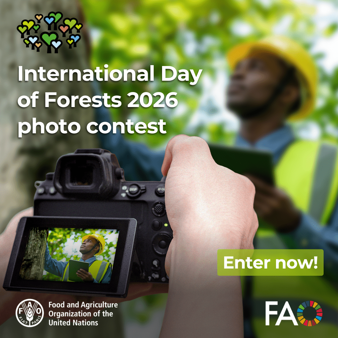 🌳📸 Forests fuel economies—and your photo can help tell that story.

Enter the International Day of Forests 2026 photo contest for a chance to have your work showcased at <a href="/FAO/">Food and Agriculture Organization</a> HQ.

Submit now 👉 ow.ly/Q41T50XVTtI

🔴 Deadline extended to 8 March!

#ForestDay