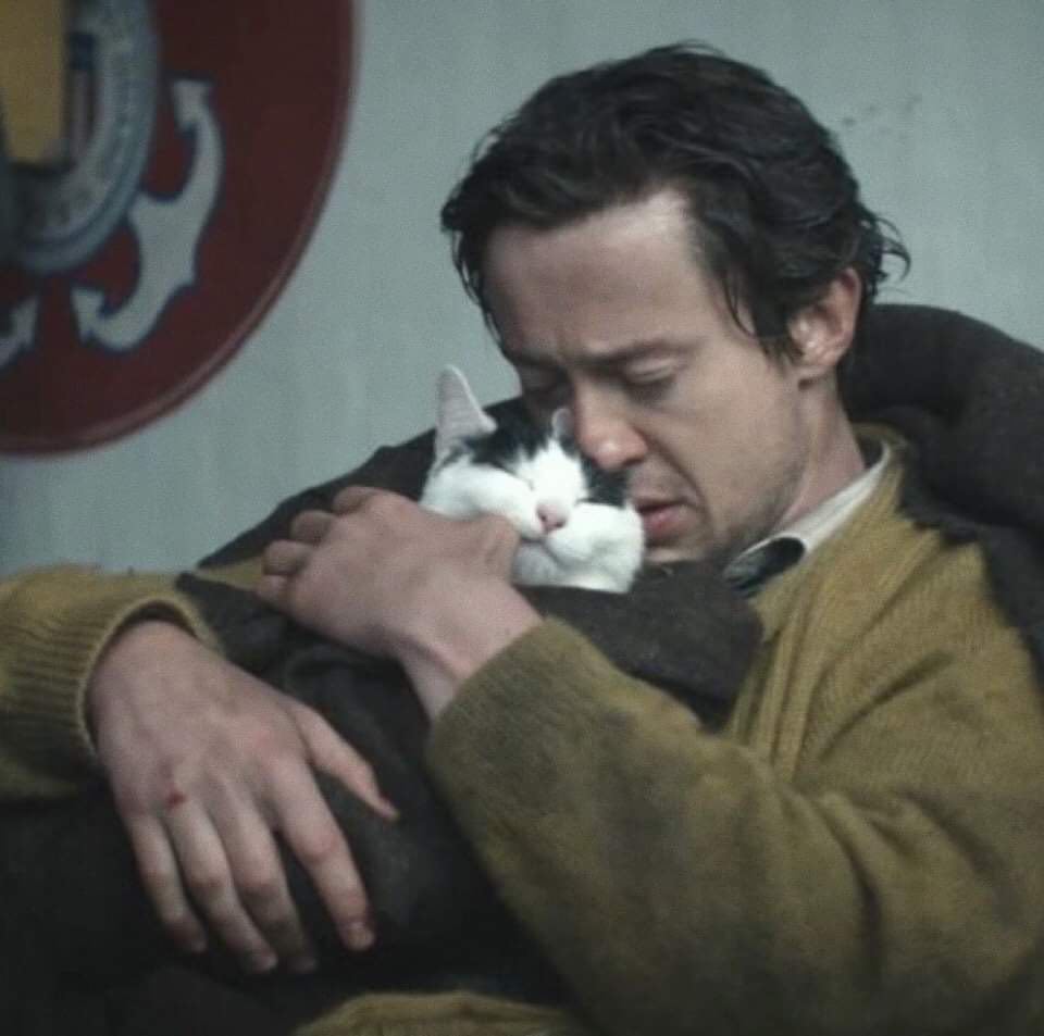 Daily Joseph Quinn picture challenge: if you would like to join in, please share your favourite pictures or GIFs (no private pictures or GIFs, please). Today is your favourite pic/gif of Joe with a cat.