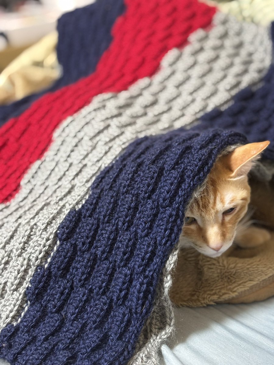 KnPon1201's tweet photo. 自分用に編んだブランケットを猫に占領されてます

猫は喧嘩するほど元気です https://t.co/atDfTlEu0b