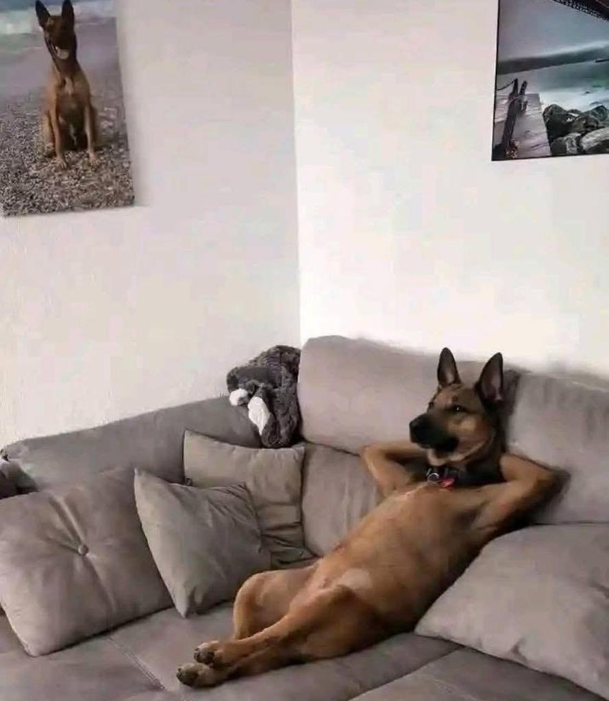 Your mutuals are watching you. They just won’t support you until strangers do first.