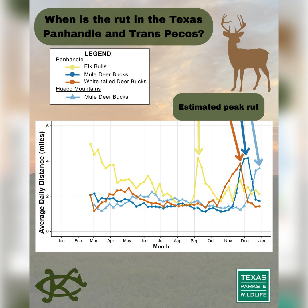 Caesar Kleberg Wildlife Research Institute tweet media