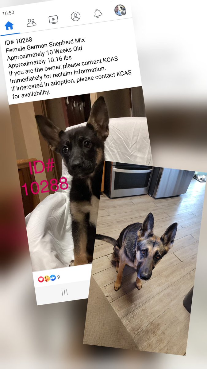 Happy birthday to my sweet beautiful girl. Mila is 3 years old today