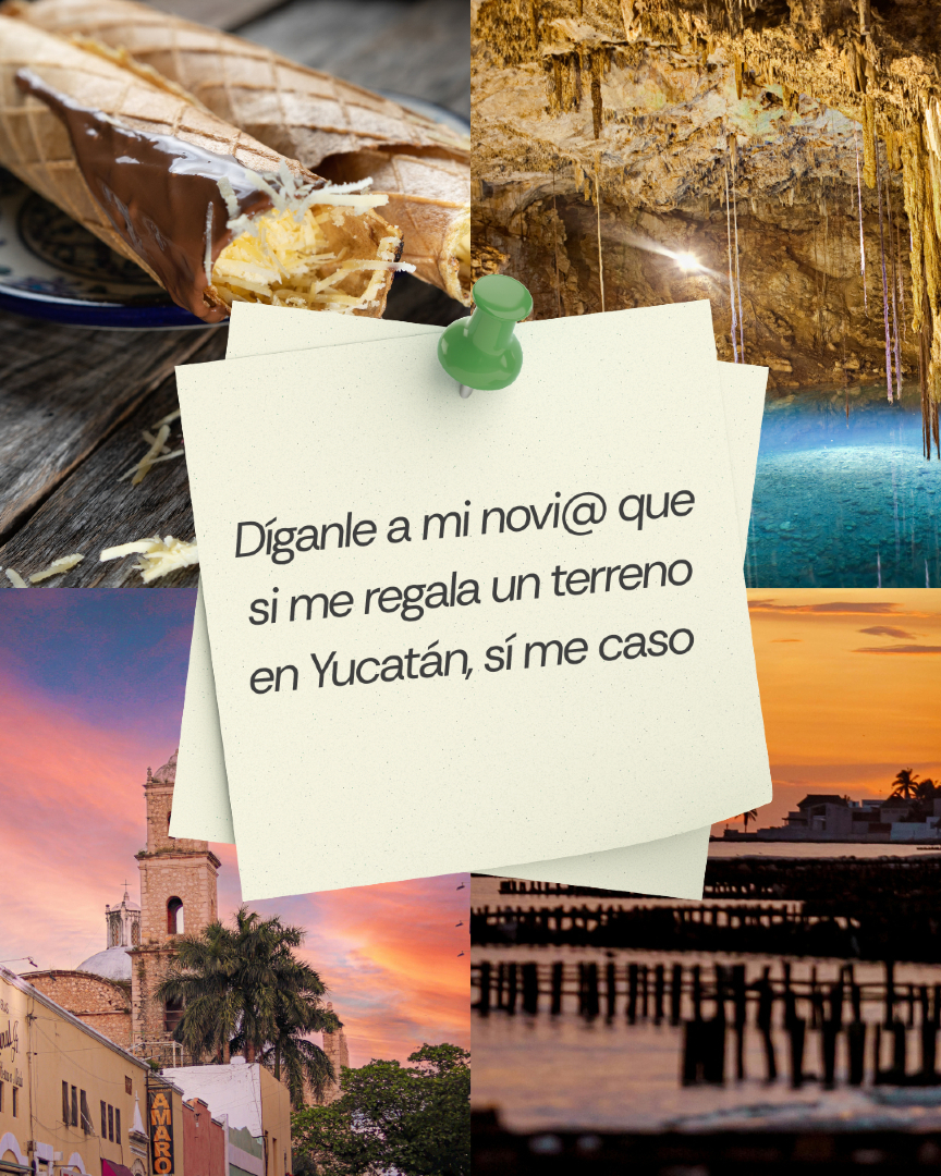 Dicen que el amor se demuestra con detalles.
Algunas personas prefieren flores, otras… un terreno en Yucatán.

Cada quien sus lenguajes del amor. 
Feliz día. 💚

#libera #yucatán #inversiónconpropósito #diadelamorylaamistad