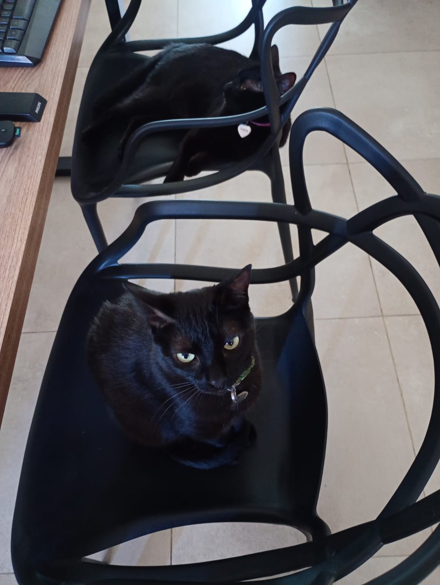 El Vikingo 🇦🇷 tweet media