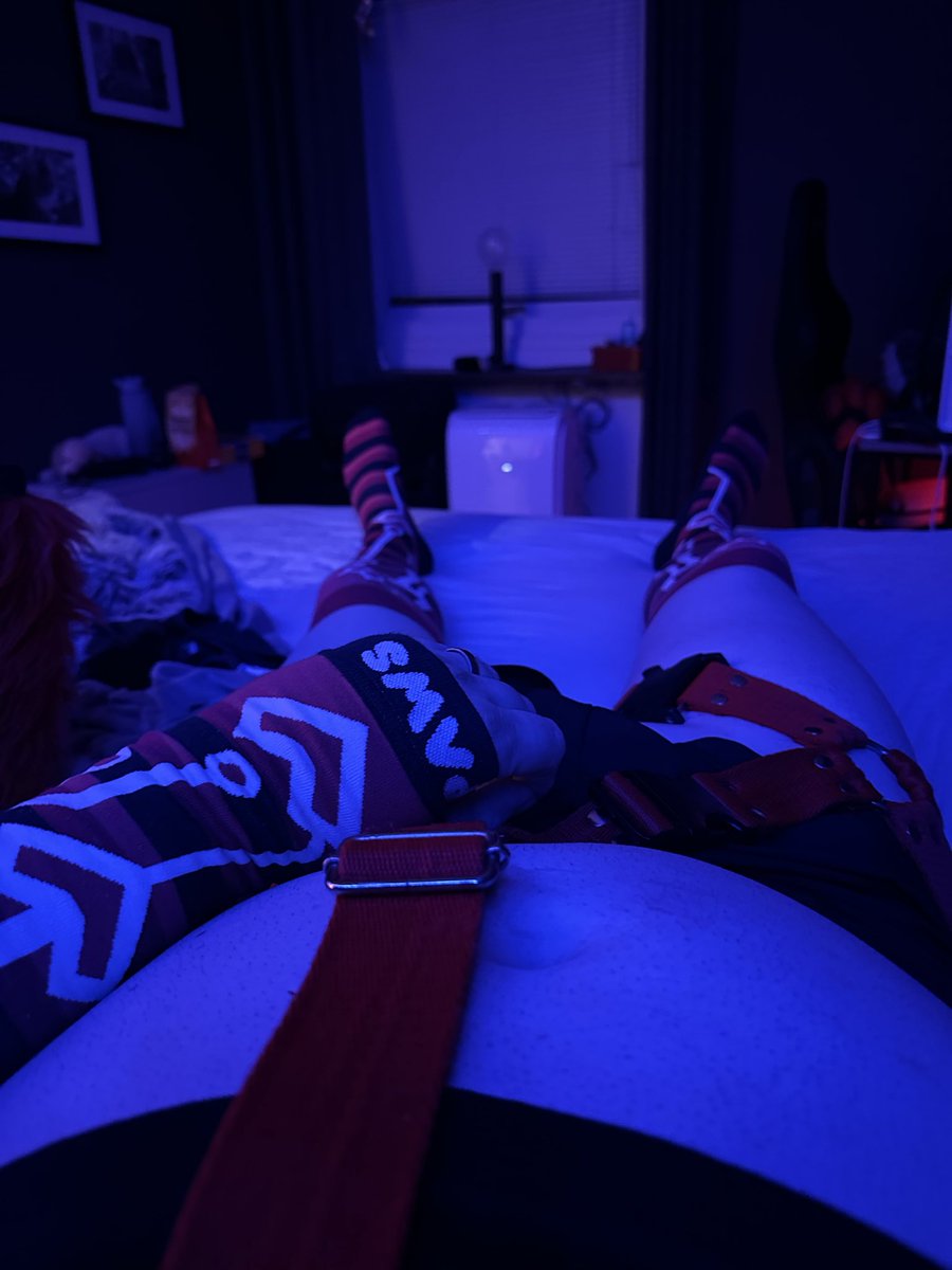 X-ray-The-Proot NFC🐾 tweet media