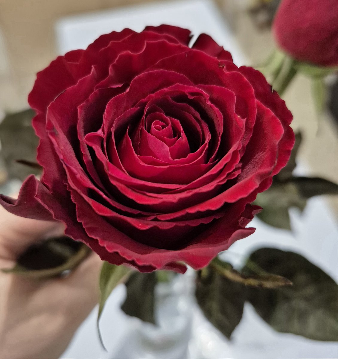 kendi çiçeğimizi kendimiz alırız ya🙂‍↕️