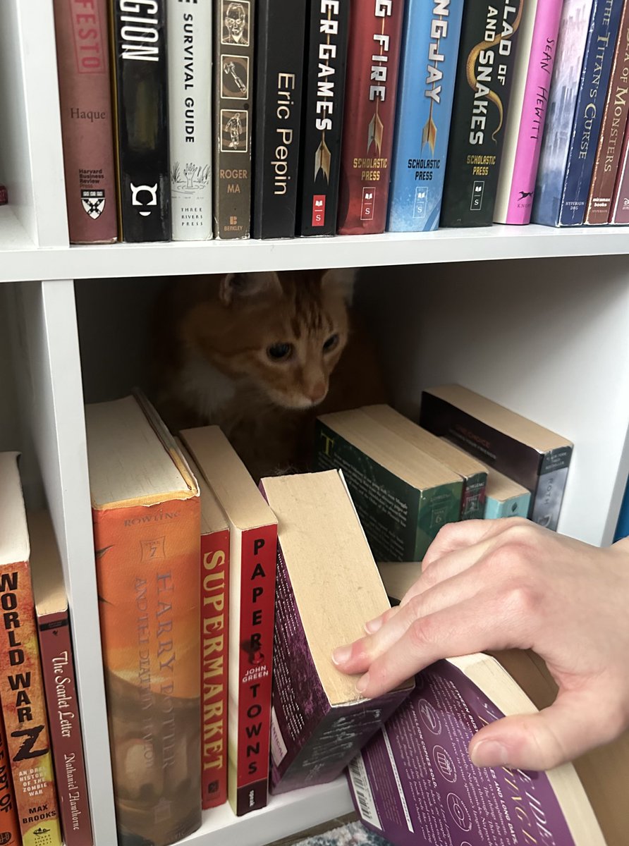 lisa barstool (@_meriahcarey) on Twitter photo 