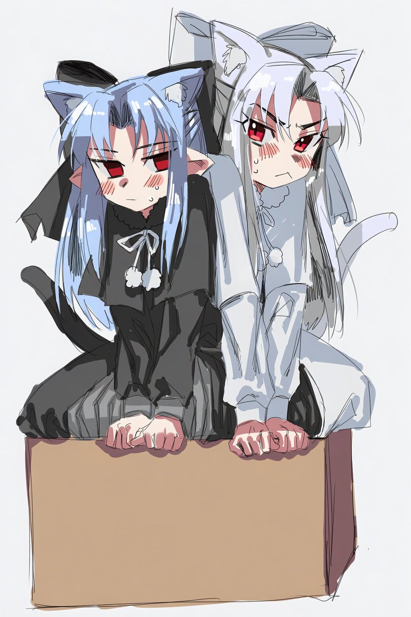 #レン #白レン
#メルブラ #月姫