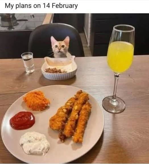 When Caturday lands on Valentine's Day.