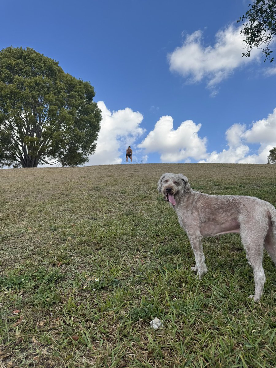 Michael Blockhus tweet media