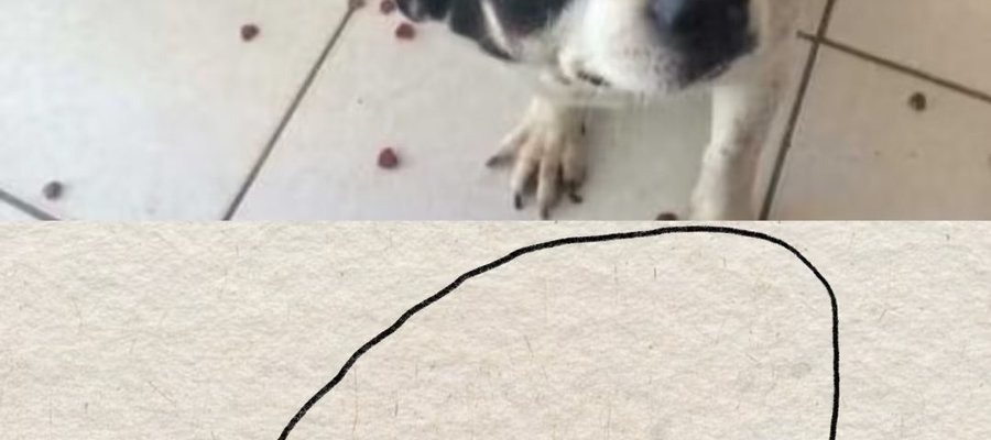 TTi1_12's tweet image. surprise: