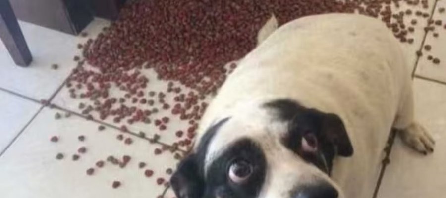 TTi1_12's tweet image. surprise: