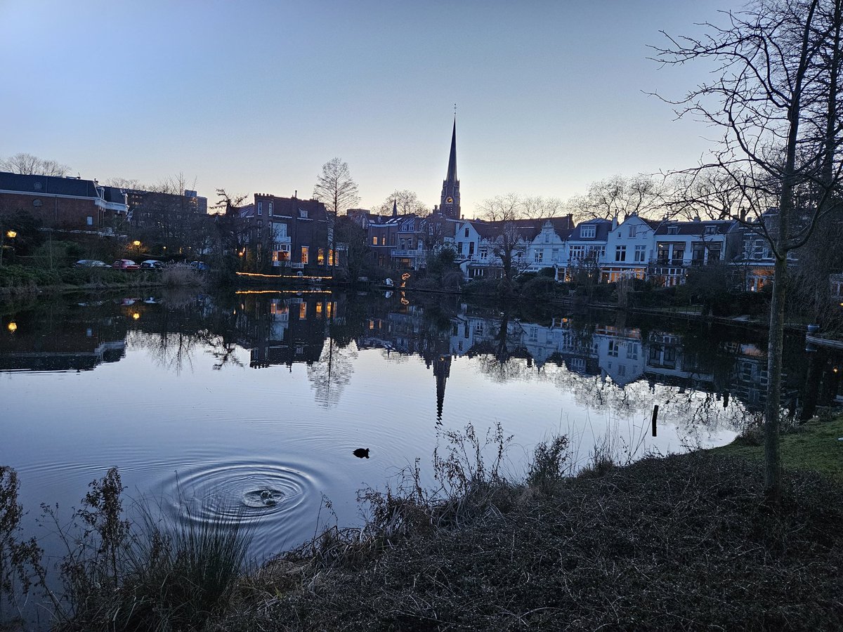 winkroach's tweet image. #Kralingen #EXCAZ