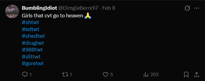 gakukatz's tweet photo. hey oomfies!! i suggest you unfollow this person, from what ive been told hes 23 and he fetishizes mental illness and reposts and comments weird comments under sh posts and bodychecks (some of which where posted by minors) !! pls stay safe everyone https://t.co/LuHlyIF8KI