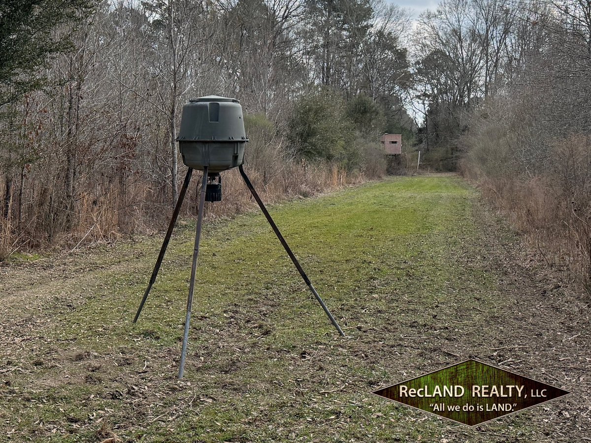 Small, tucked away little food plots on hunting tracts are my favorite. Deer prefer them, too, since the closeness to cover makes them feel a little more at ease, in my opinion.