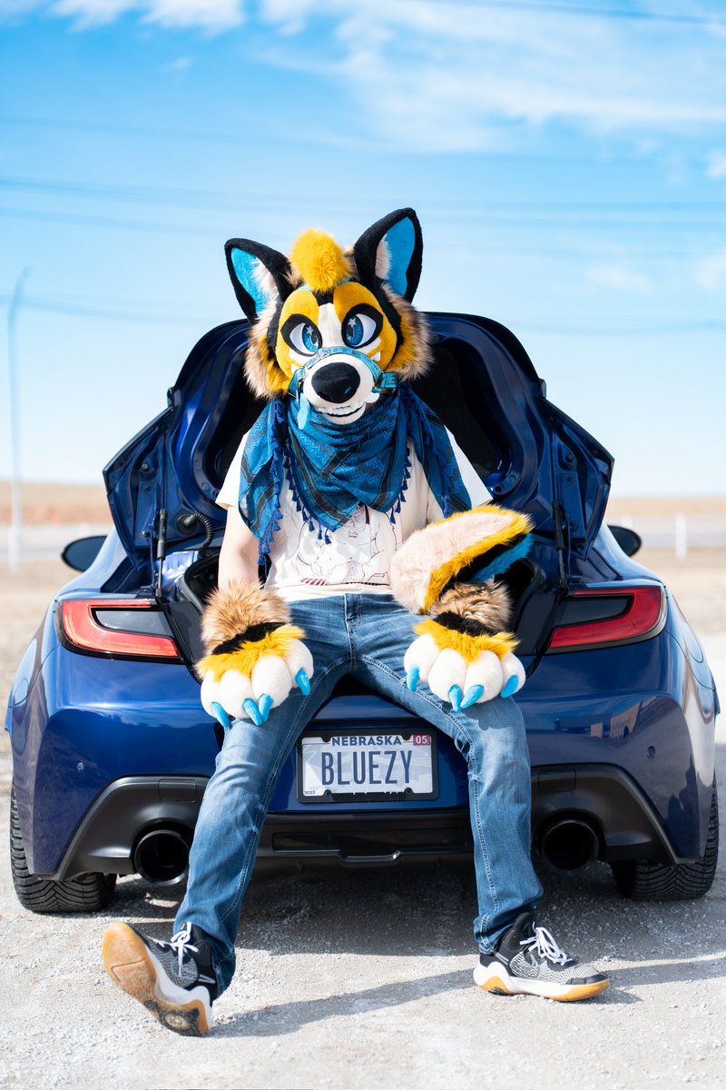 ForestTheFloof tweet media