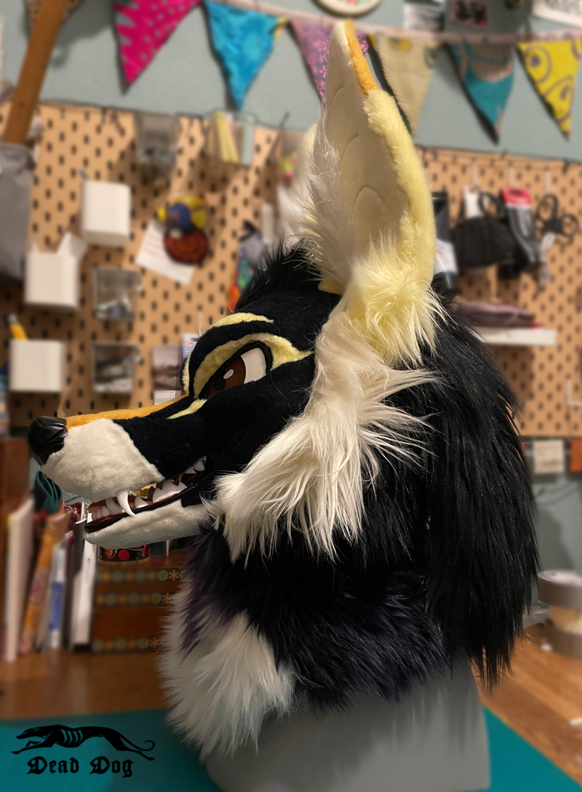 DeadDog Fursuits 🥀 tweet media