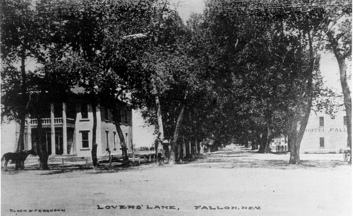Love is timeless. Step back in time with this historic glimpse of Lovers Lane in Fallon.  💕

#visitfallon #fallonnevada #travelnevada