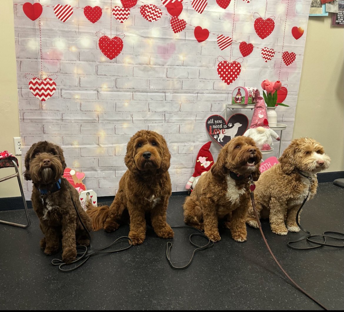 Tewksbury Police tweet media