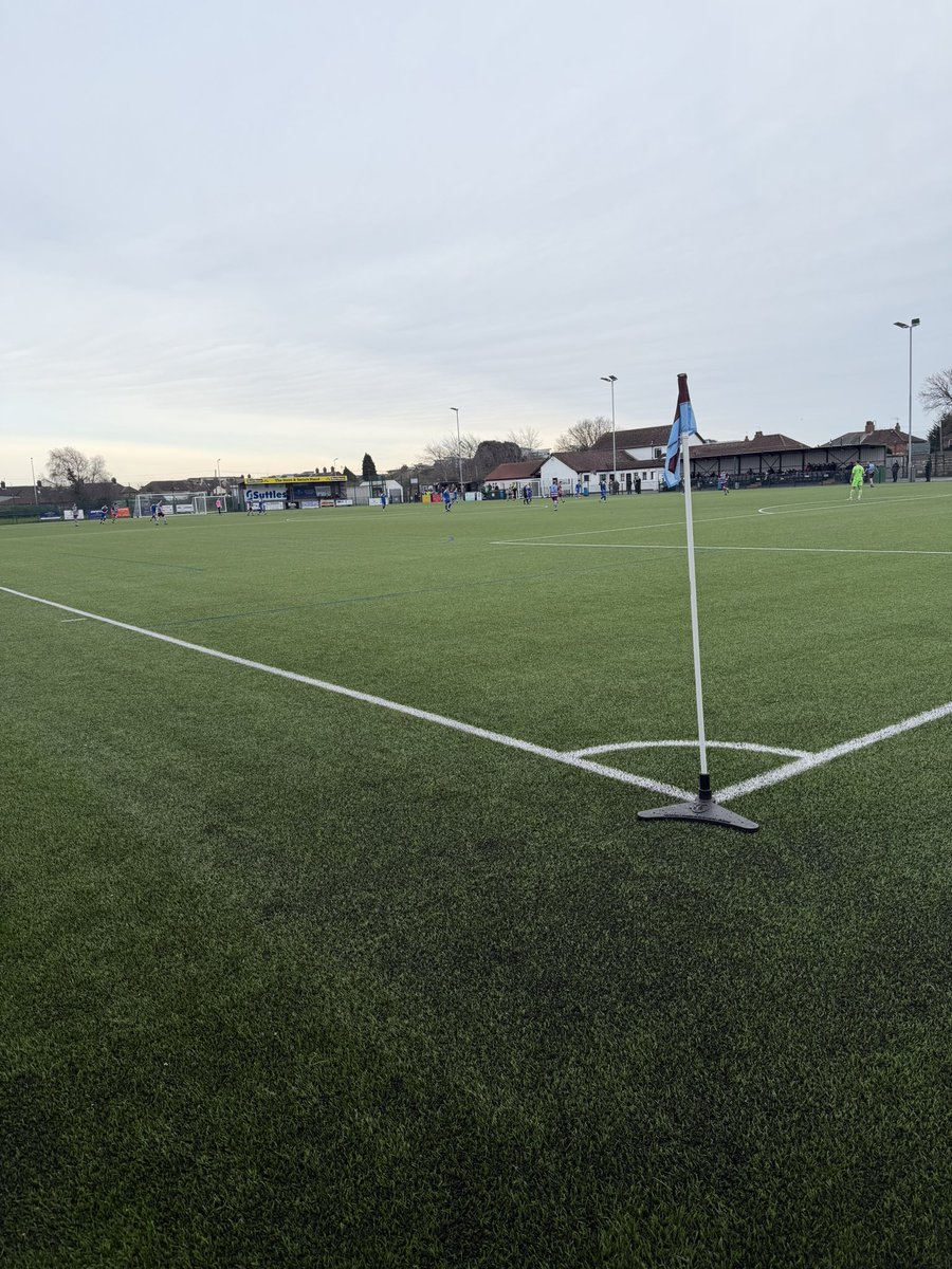 Shepps 🐝 tweet media