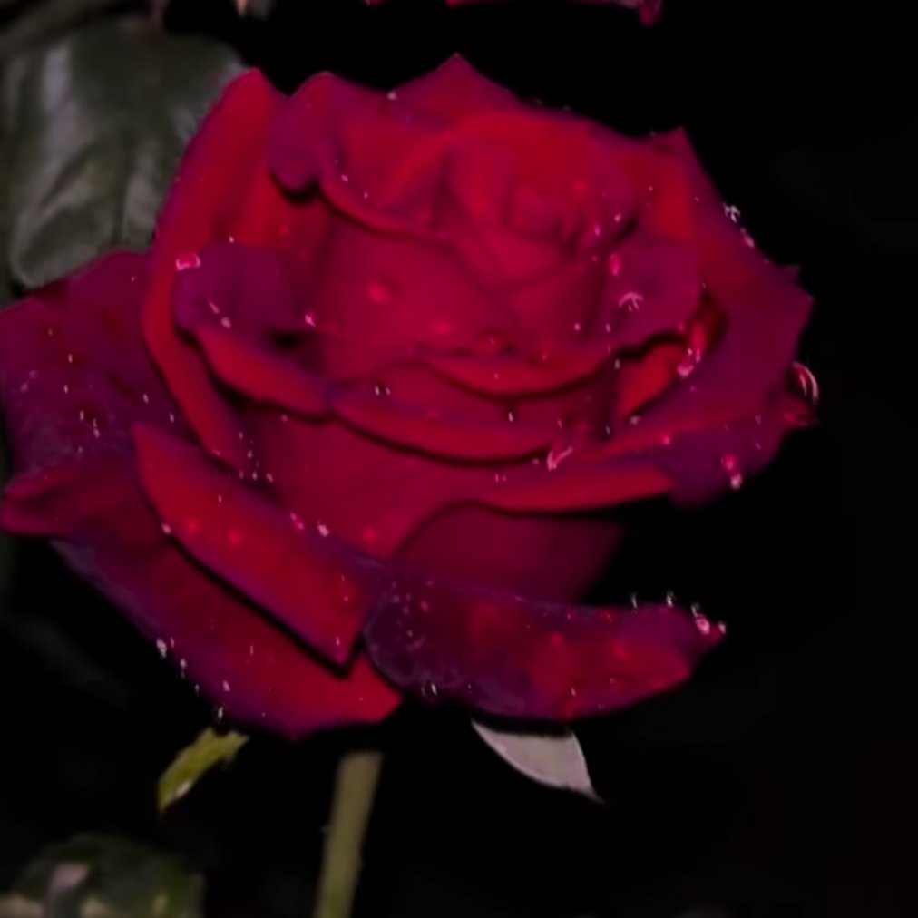 रोज तो नहीं,
मगर कभी कभी
लगता है टूटके बिखर जाएं हम,
ये जानते हुए,
कि हम जैसों को
फिर से कोई भी नहीं बनाएगा...❤️

Good morning friends 🌻❤️