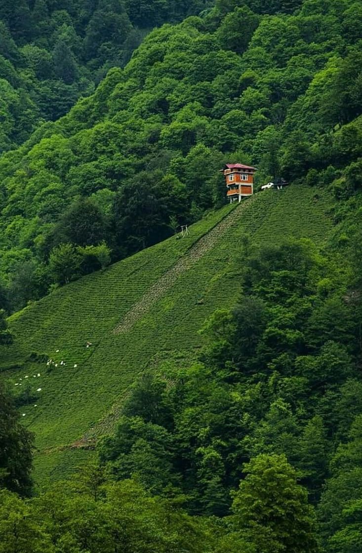اسبوع لحالك في هذا المكان و بدون نت توافق ؟
#جمال_ايران