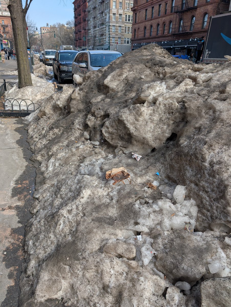 daviesbj's tweet photo. Need a GWAS study on this snow https://t.co/vQ9DE164Gl