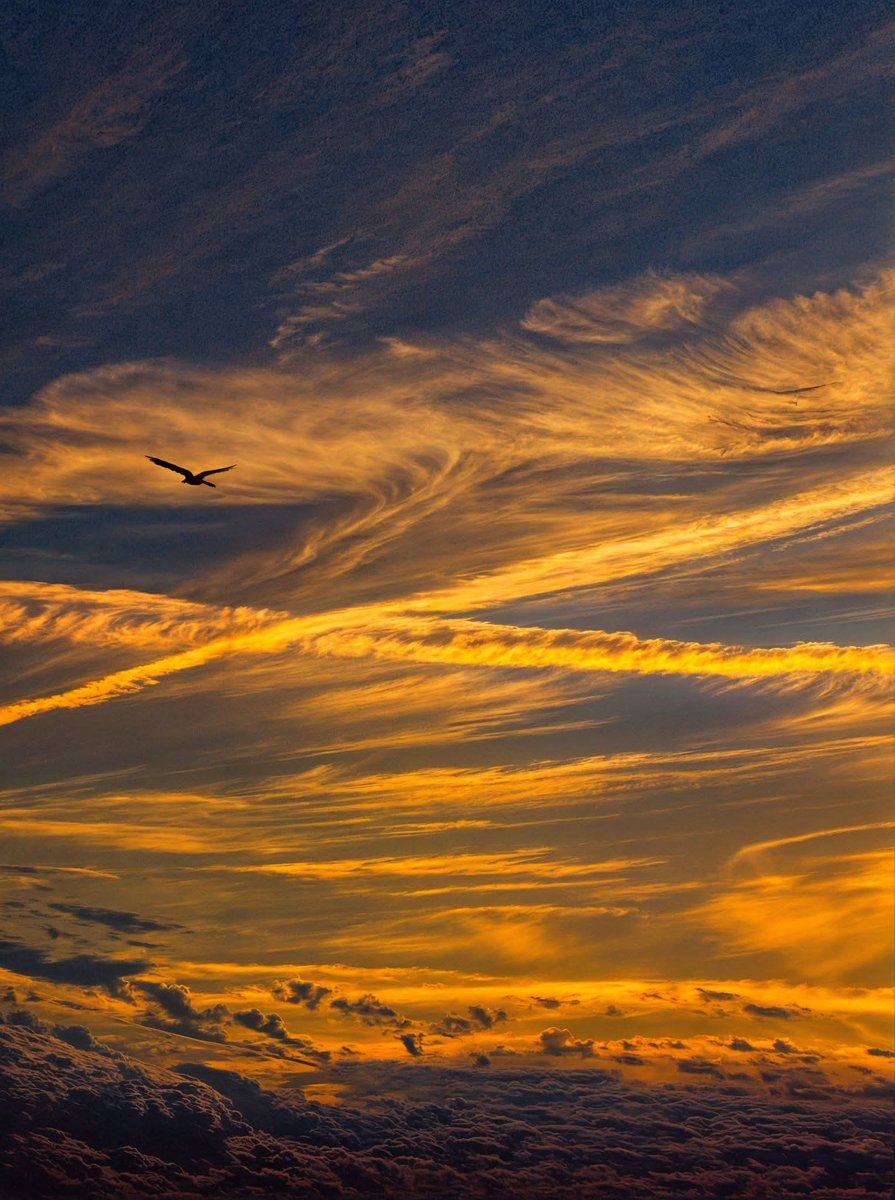 "صُنعَ اللهِ الَّذي أَتقَنَ كُلَّ شَيءٍ"🤍